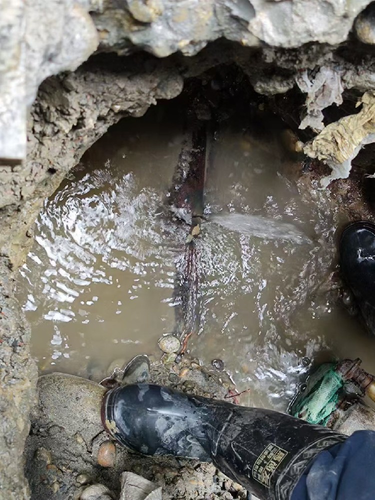 南浔区本地服务：小区水管漏水检测维修